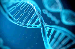 华大基因子公司发布全球日生产能力最强基因测序仪